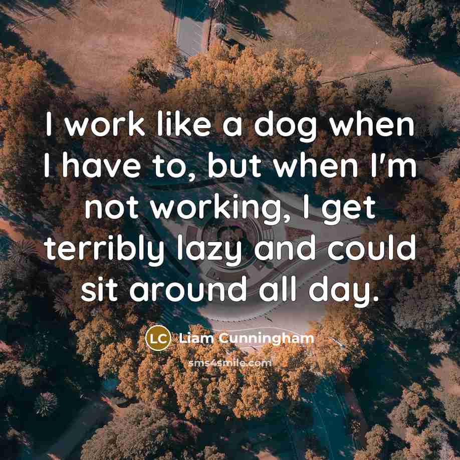 “I work like a dog when I have to, but…” quote by Liam Cunningham