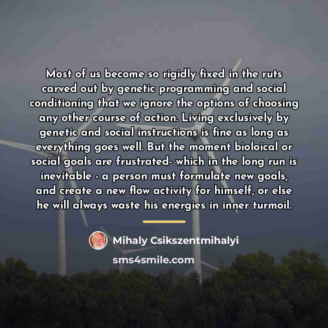 “Most of us become so rigidly fixed in the ruts…” quote by Mihaly Csikszentmihalyi