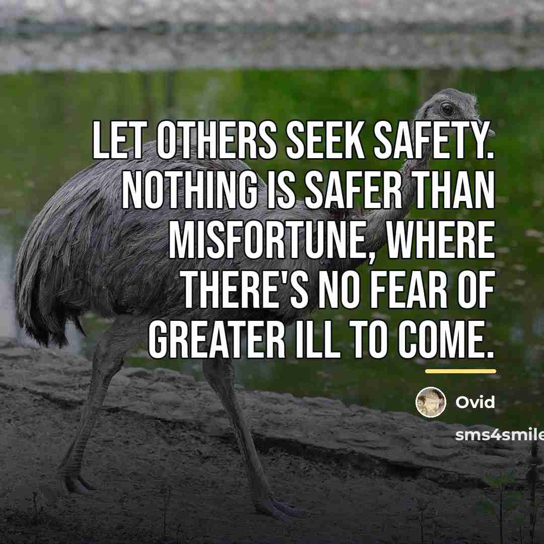 “Let others seek safety. Nothing is safer than misfortune, Where…” quote by Ovid
