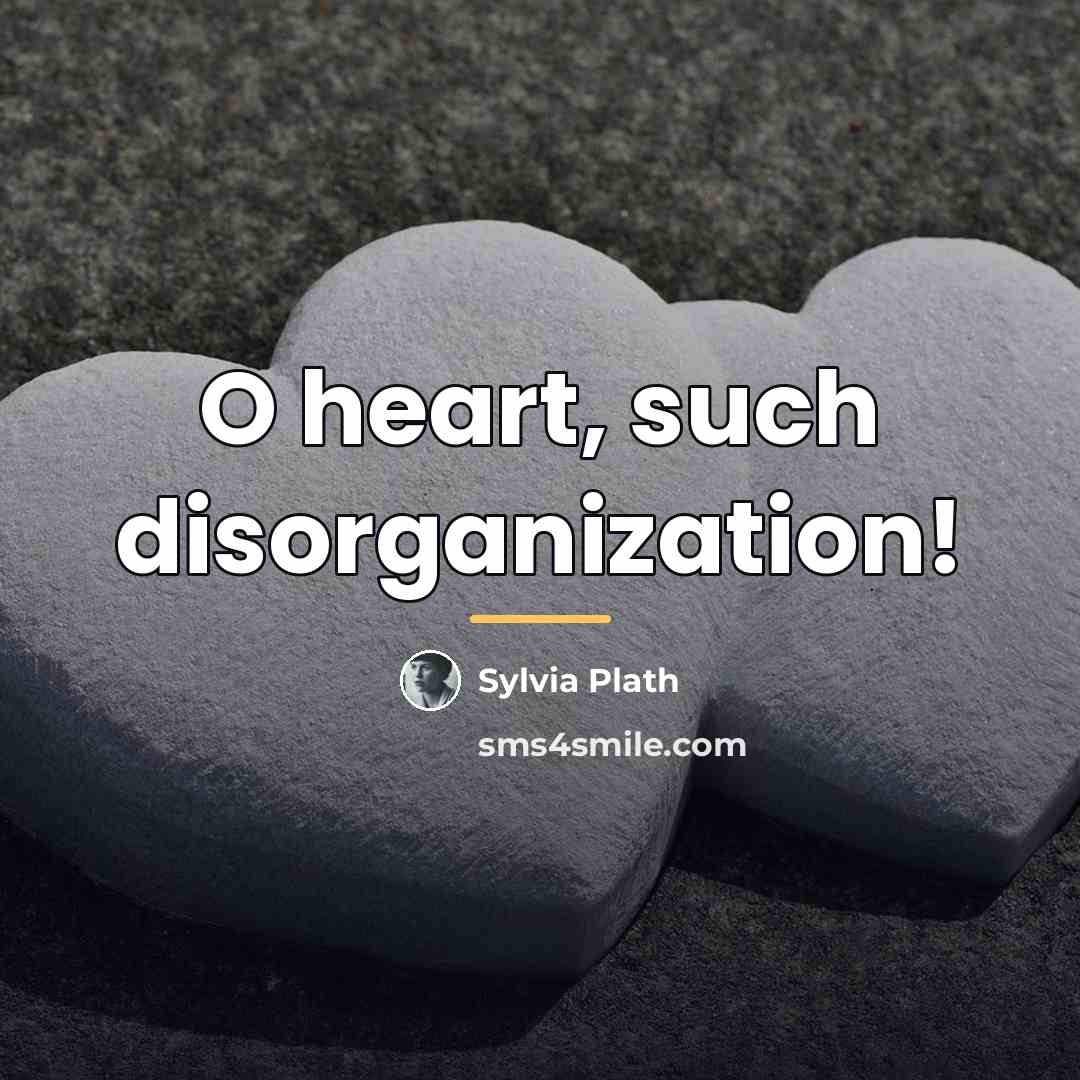 “O heart, such disorganization!…” quote by Sylvia Plath