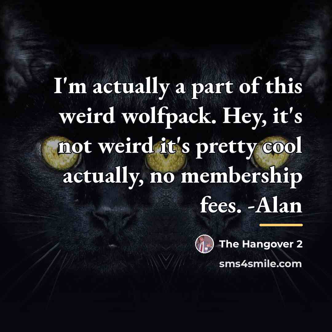 “I'm actually a part of this weird wolfpack. Hey, it's…” quote by The Hangover 2