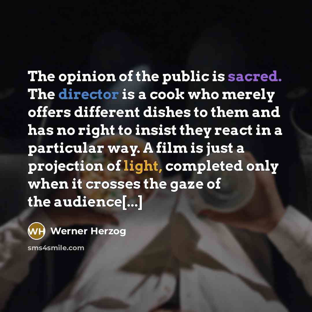 “The opinion of the public is sacred. The director is…” quote by Werner Herzog