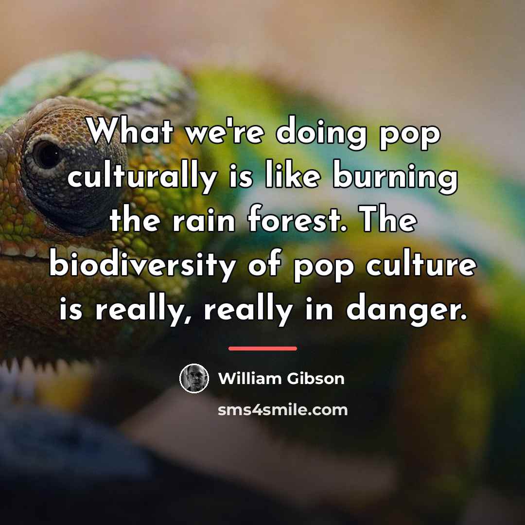 “What we're doing pop culturally is like burning the rain…” quote by William Gibson