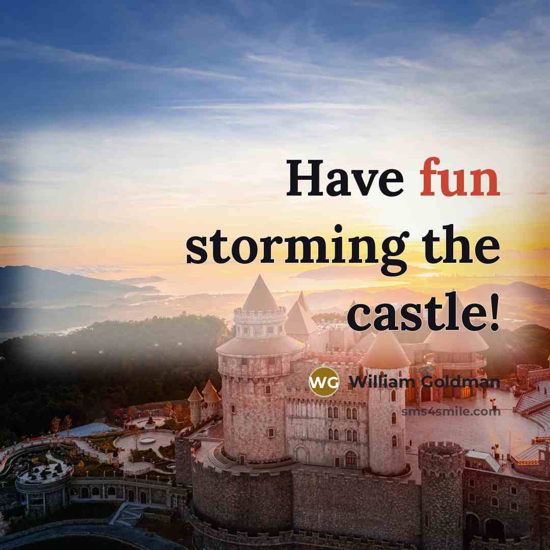 “Have fun storming the castle!” quote by William Goldman