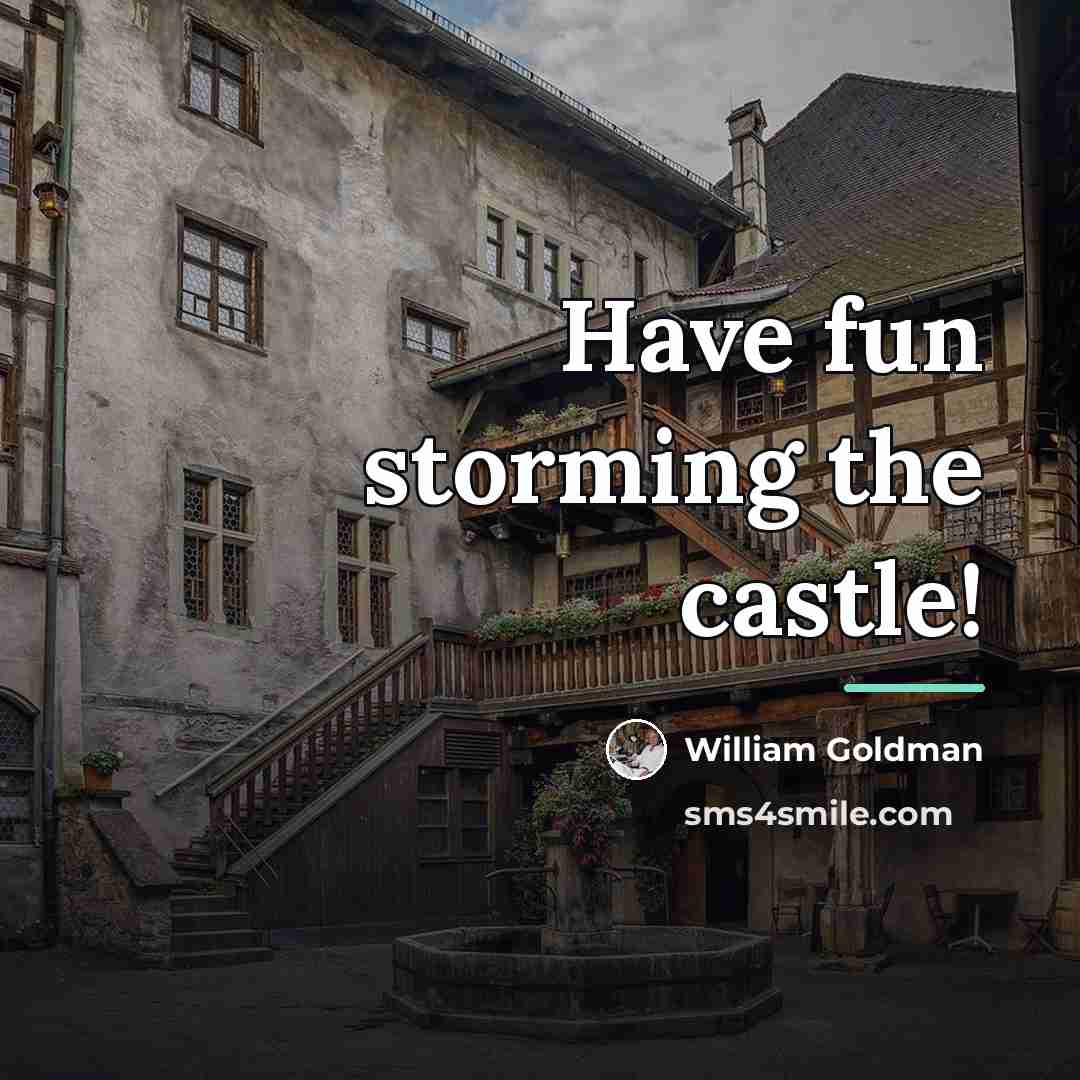 “Have fun storming the castle!…” quote by William Goldman