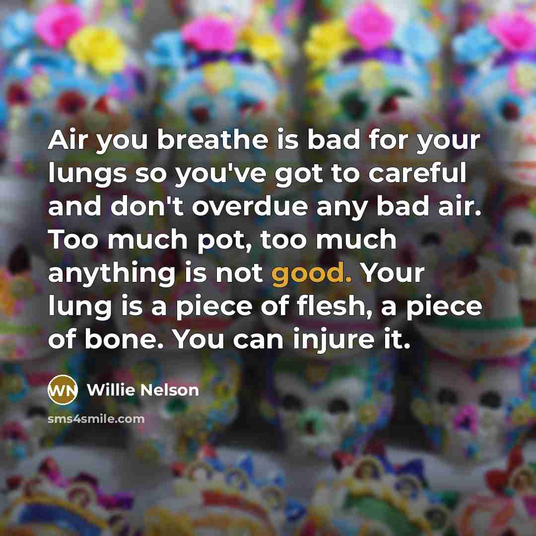 “Air you breathe is bad for your lungs so you've…” quote by Willie Nelson