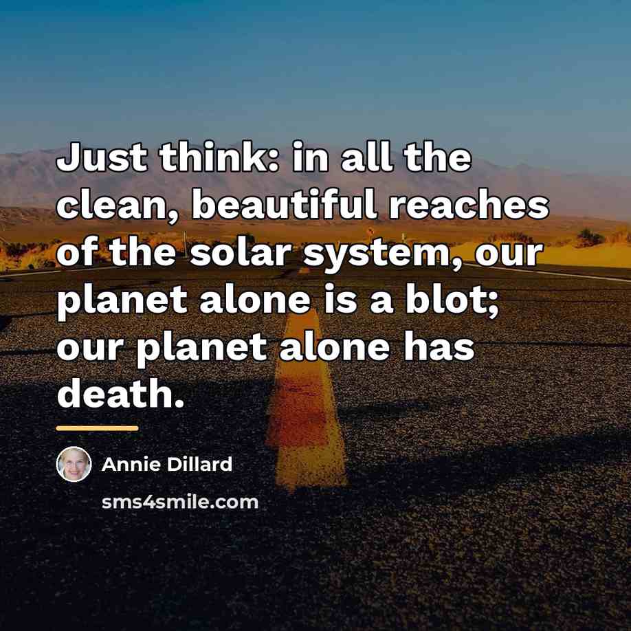 “Just think: in all the clean, beautiful reaches of the…” quote by Annie Dillard