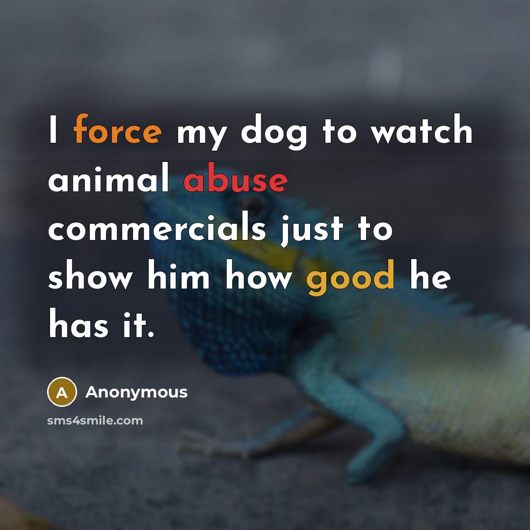 “I force my dog to watch animal abuse commercials just to show him how good he has it.” quote by Anonymous