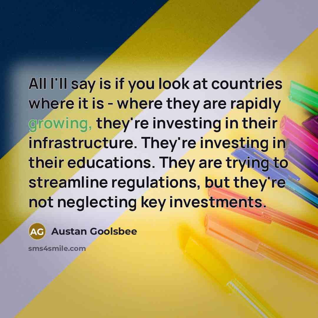 “All I'll say is if you look at countries where…” quote by Austan Goolsbee