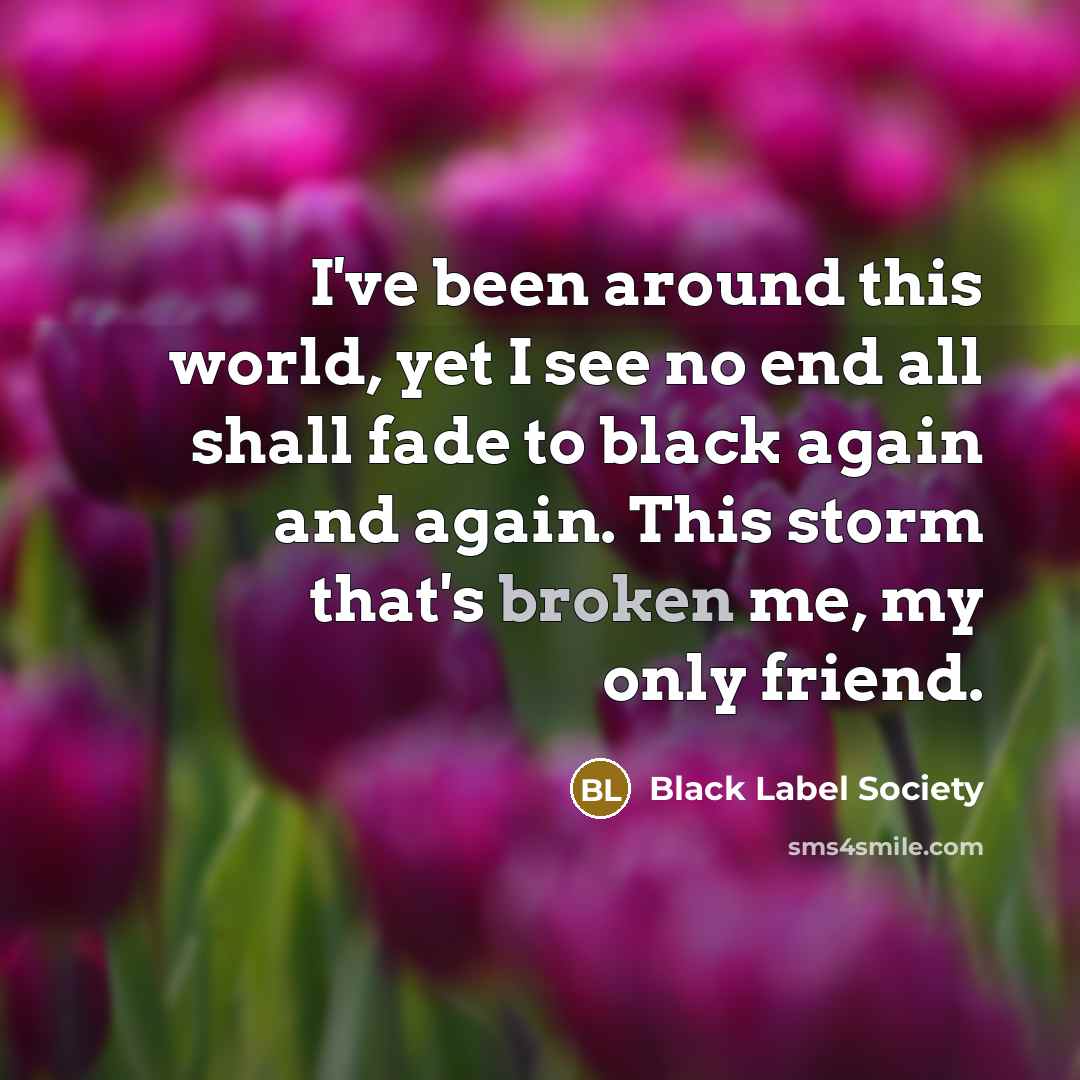 “I've been around this world, yet I see no end…” quote by Black Label Society