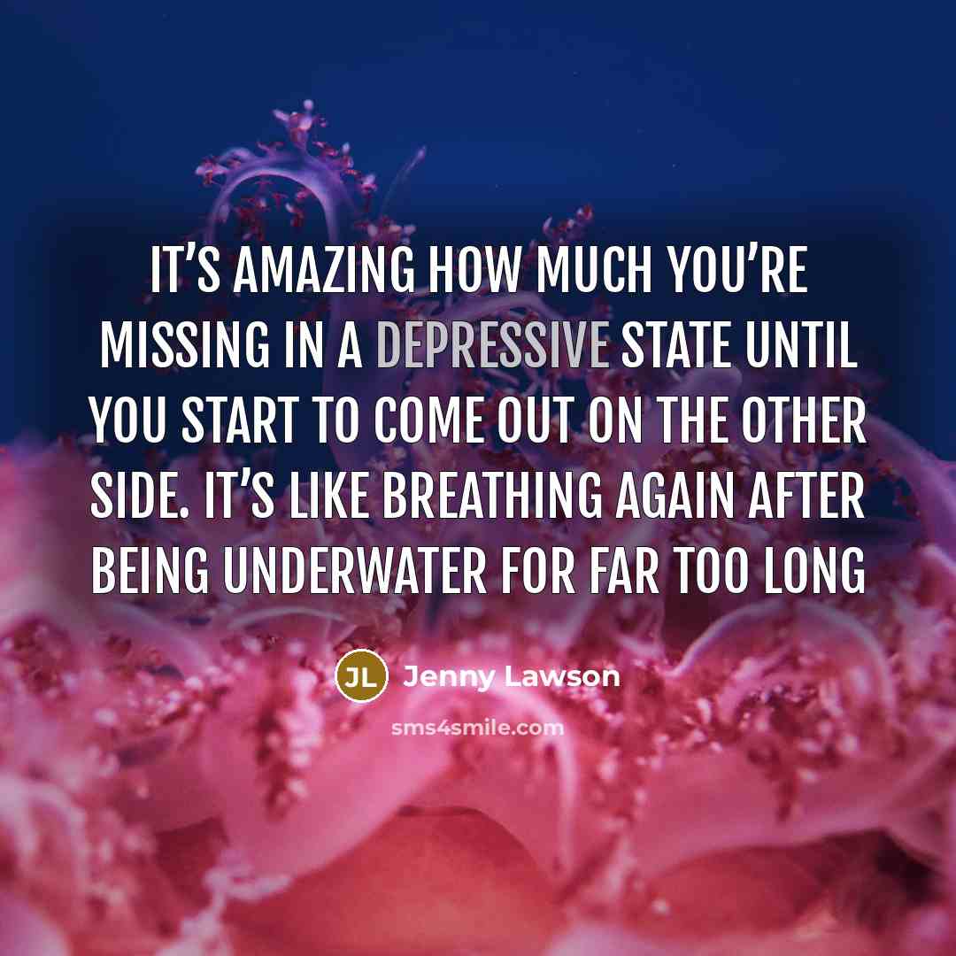 “It’s amazing how much you’re missing in a depressive state…” quote by Jenny Lawson