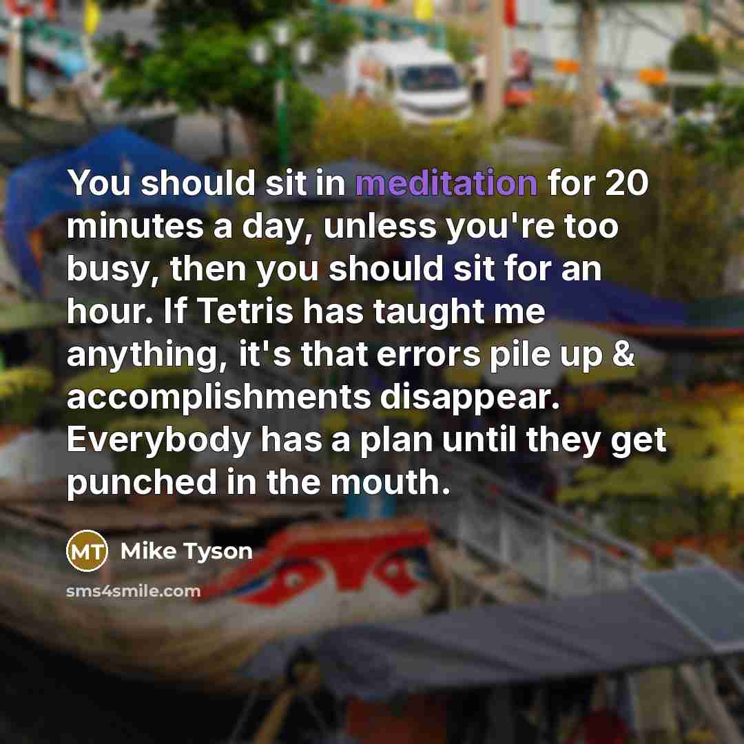 “You should sit in meditation for 20 minutes a day,…” quote by Mike Tyson