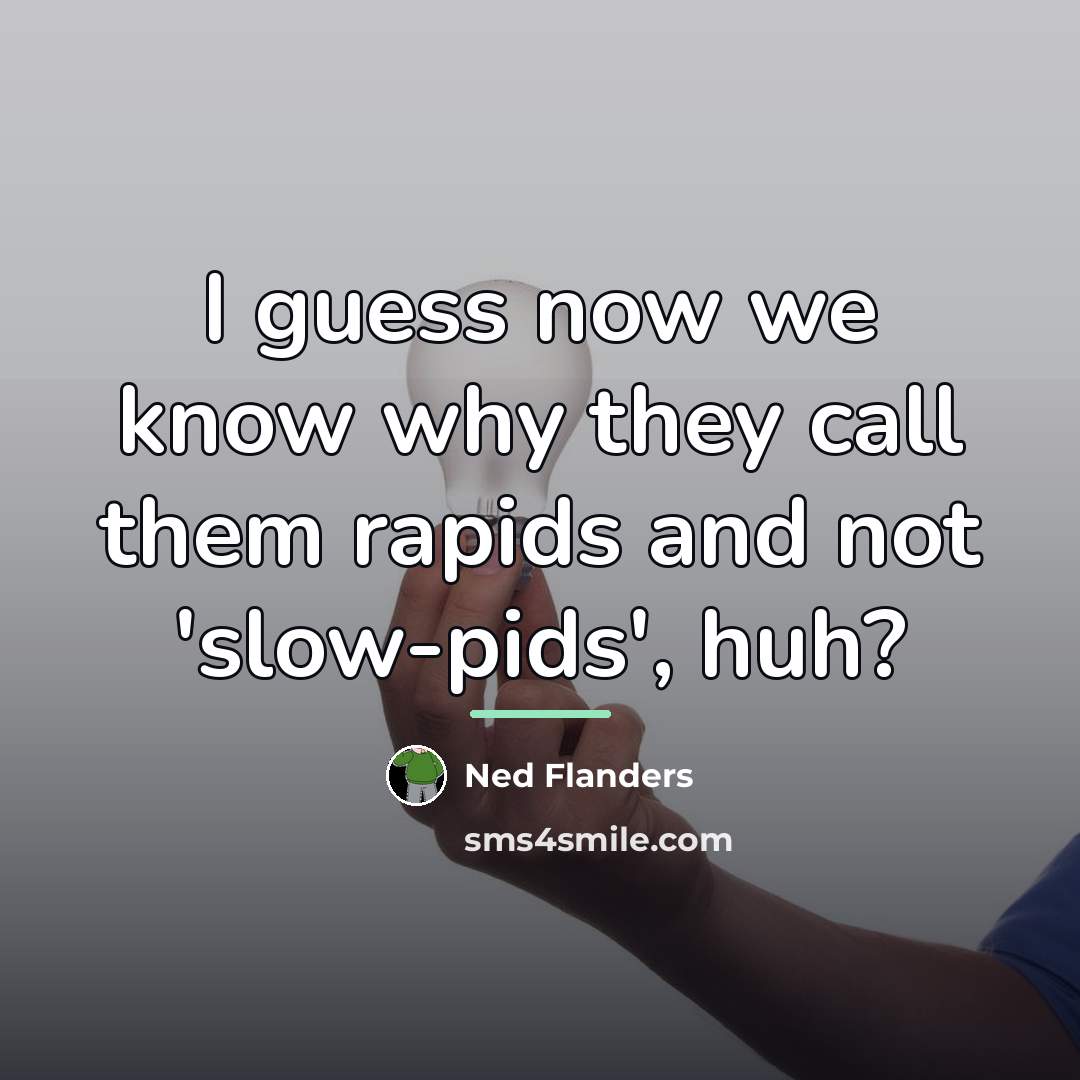“I guess now we know why they call them rapids…” quote by Ned Flanders
