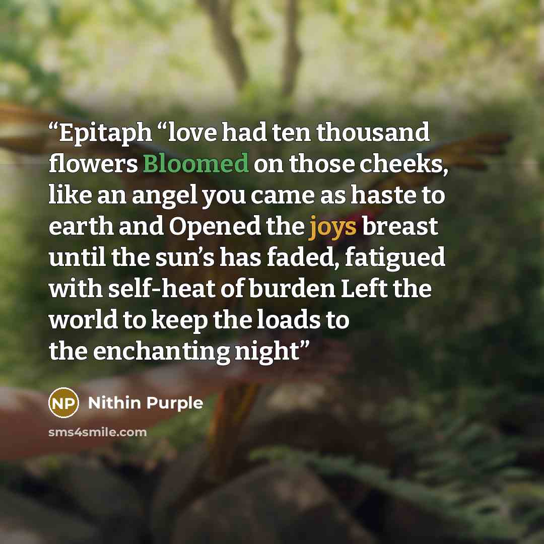 “Epitaph “love had ten thousand flowers Bloomed on those cheeks, like an angel you came as haste to earth and Opened the joys breast until the sun’s has faded, fatigued with self-heat of burden Left the world to keep the loads to the enchanting night” quote by Nithin Purple