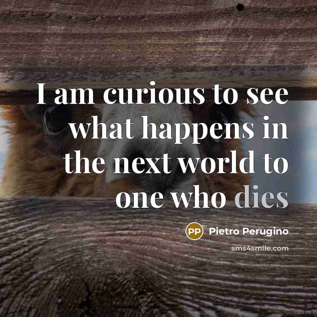 “I am curious to see what happens in the next world to one who dies” quote by Pietro Perugino