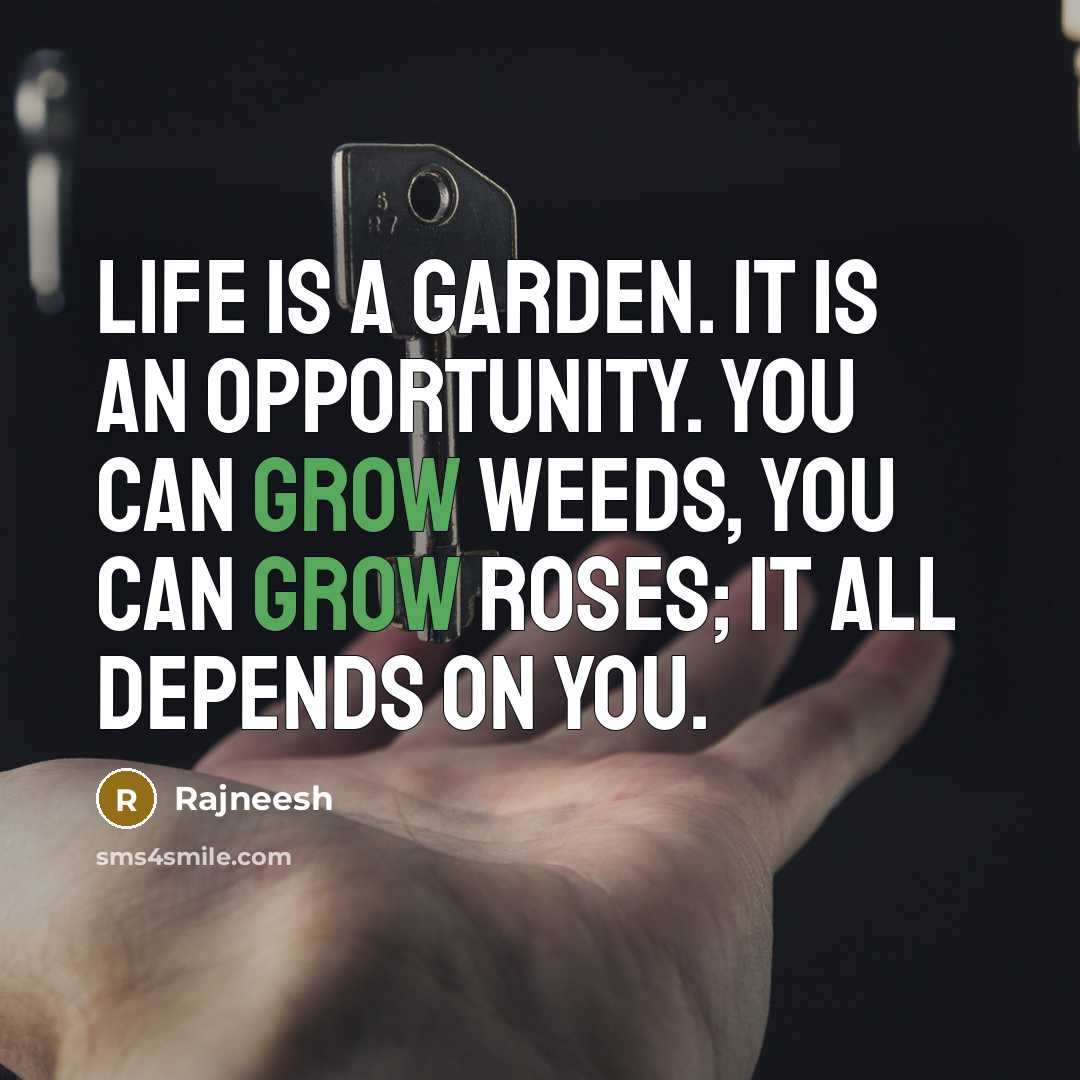 “Life is a garden. It is an opportunity. You can…” quote by Rajneesh