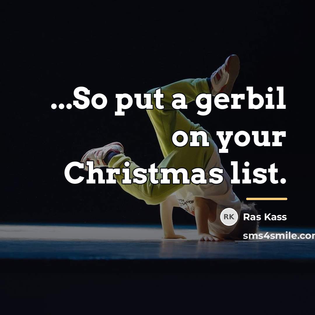 “...So put a gerbil on your Christmas list.…” quote by Ras Kass