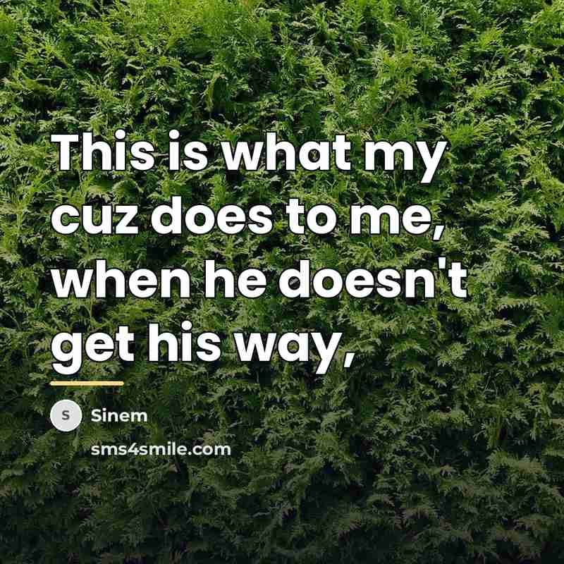“This is what my cuz does to me, when he…” quote by Sinem