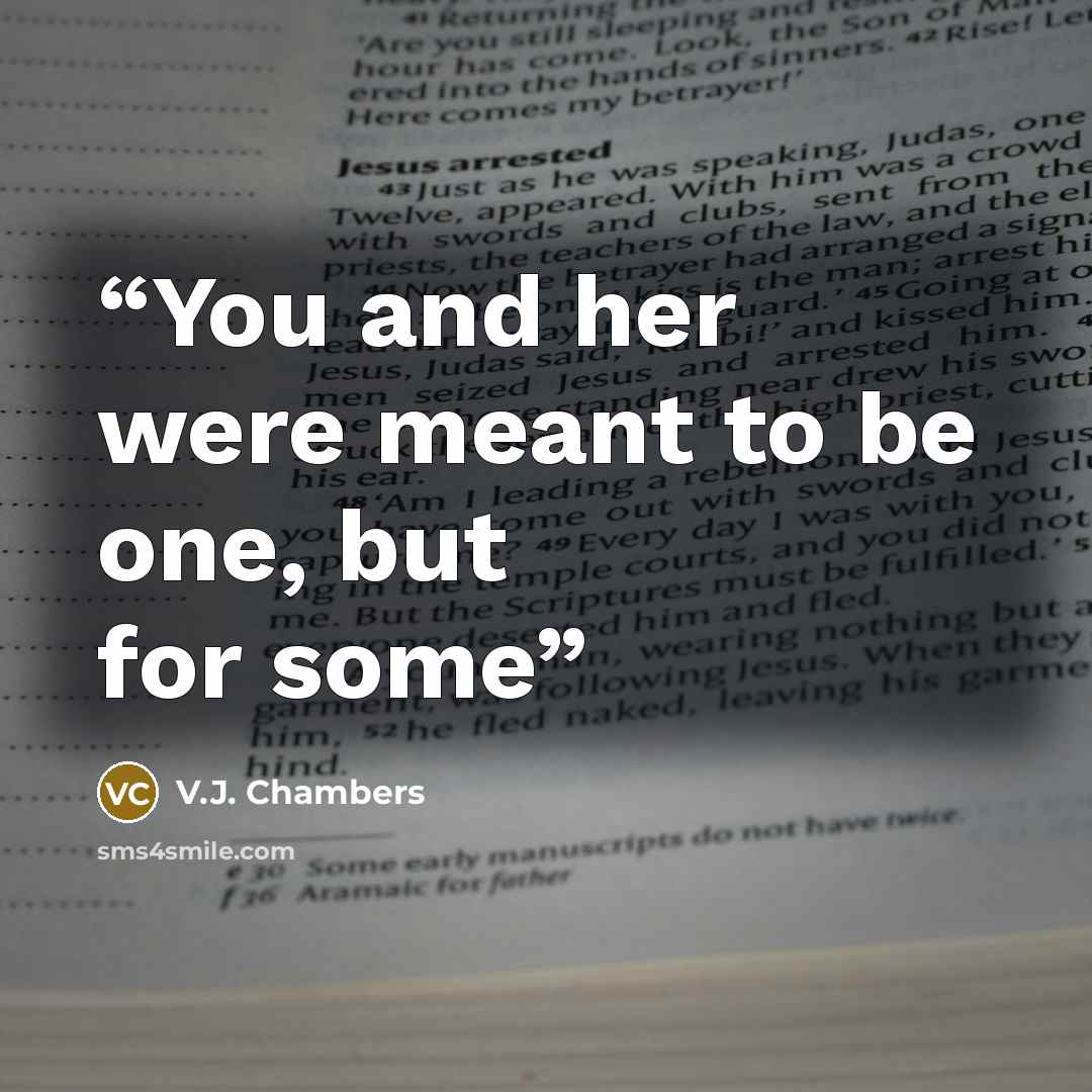 “You and her were meant to be one, but for some” quote by V.J. Chambers