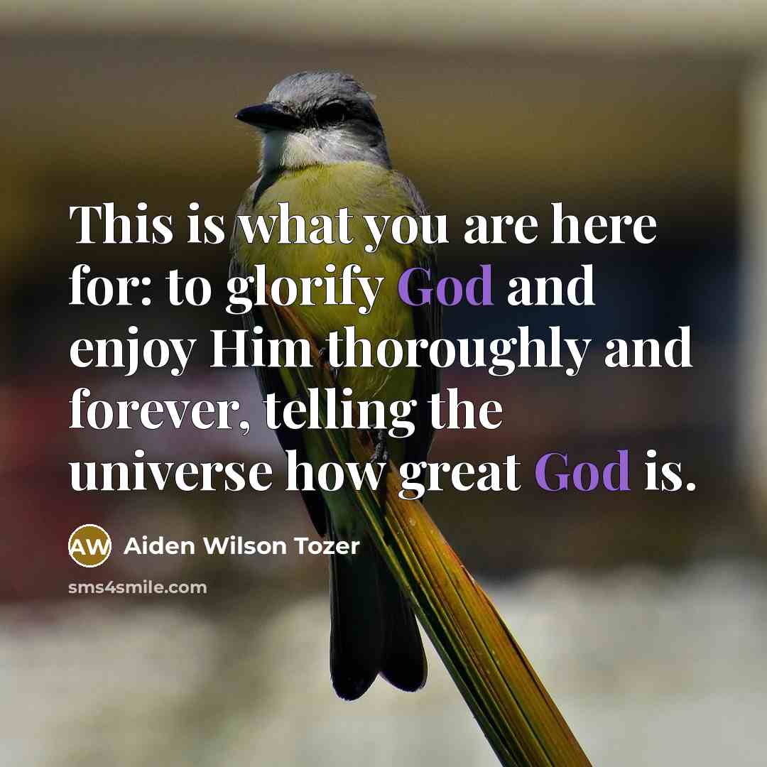 “This is what you are here for: to glorify God…” quote by Aiden Wilson Tozer