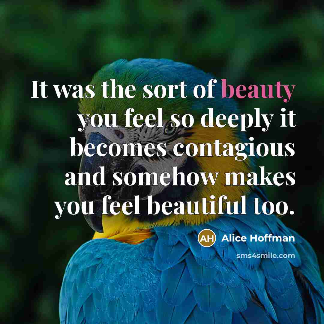 “It was the sort of beauty you feel so deeply…” quote by Alice Hoffman