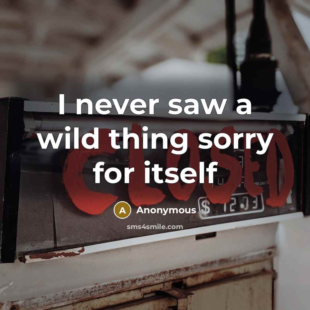“I never saw a wild thing sorry for itself…” quote by Anonymous