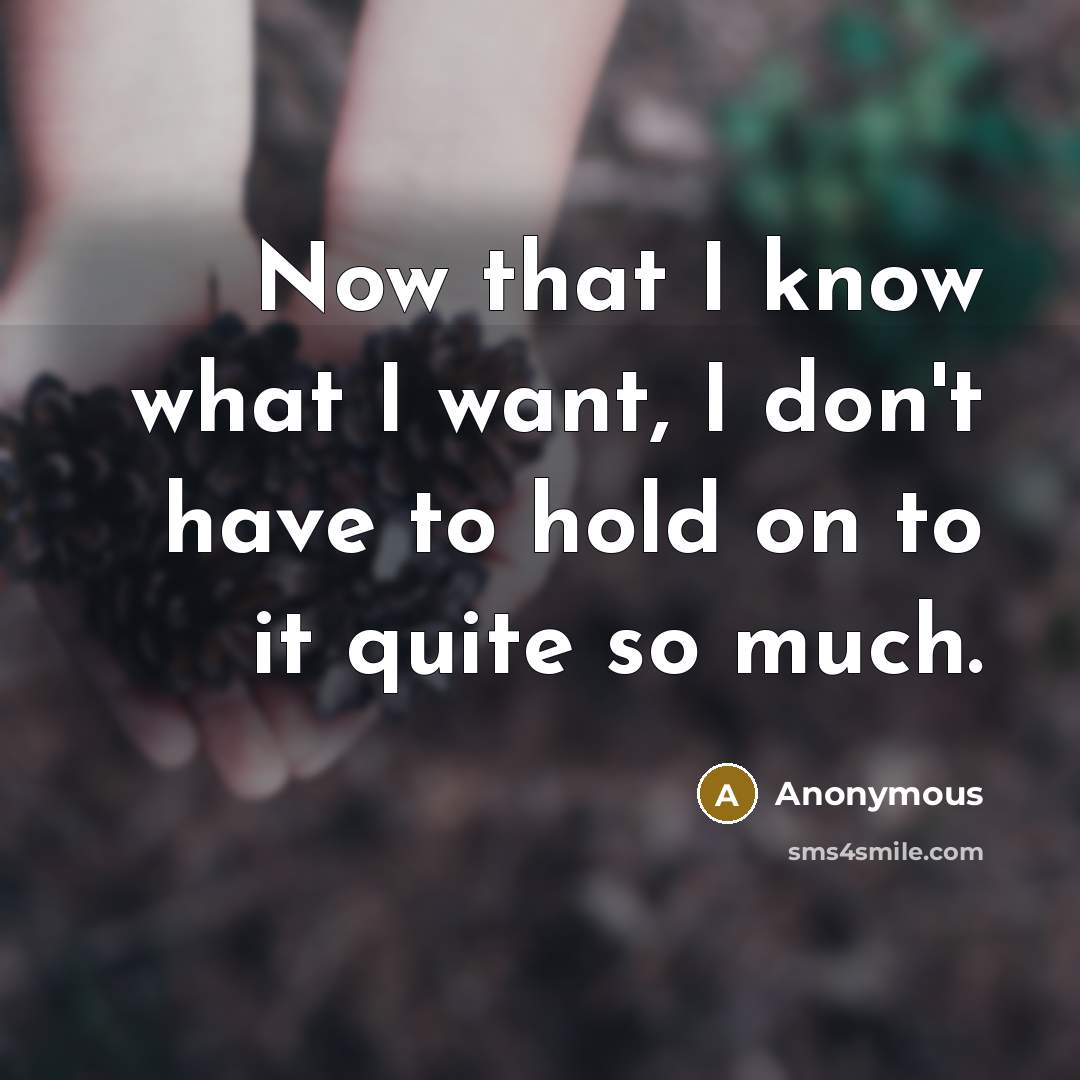 “Now that I know what I want, I don't have…” quote by Anonymous