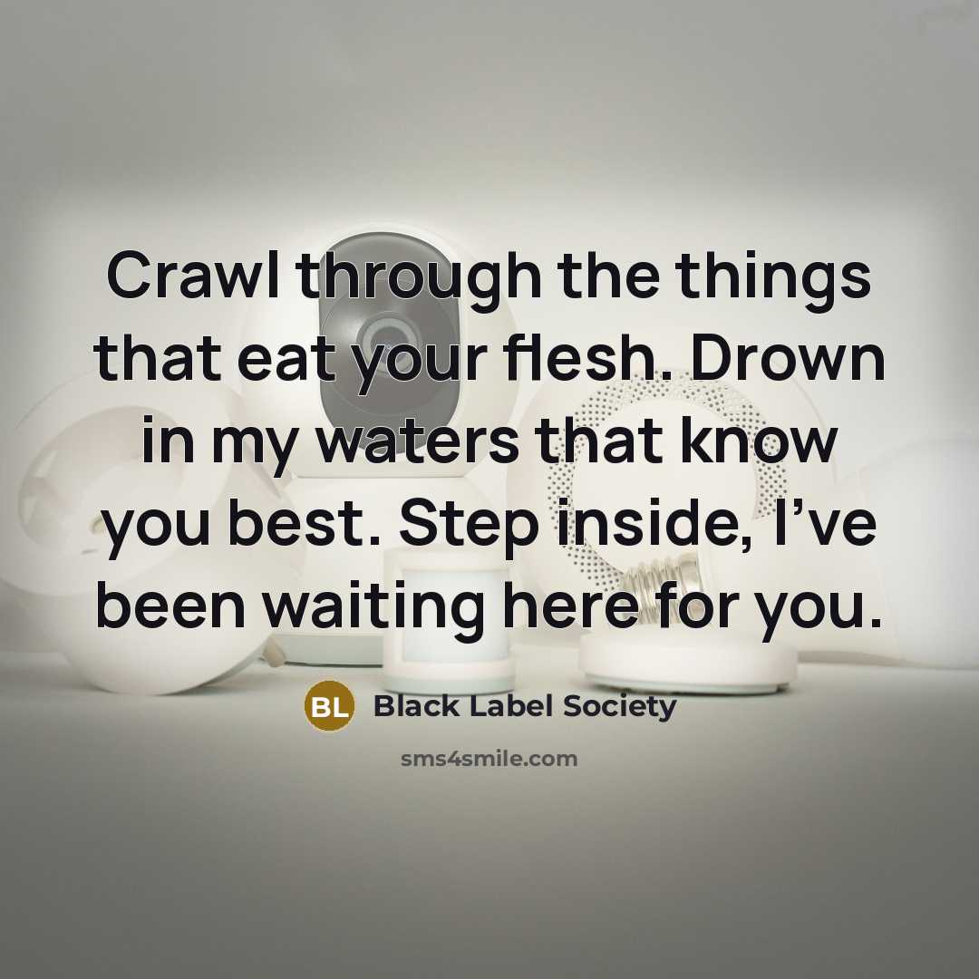 “Crawl through the things that eat your flesh. Drown in…” quote by Black Label Society