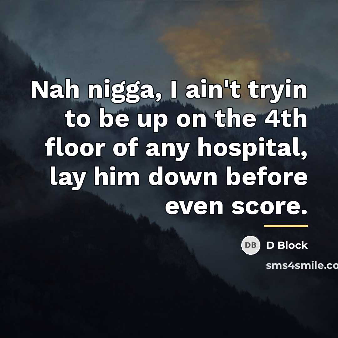 “Nah nigga, I ain't tryin to be up on the…” quote by D Block