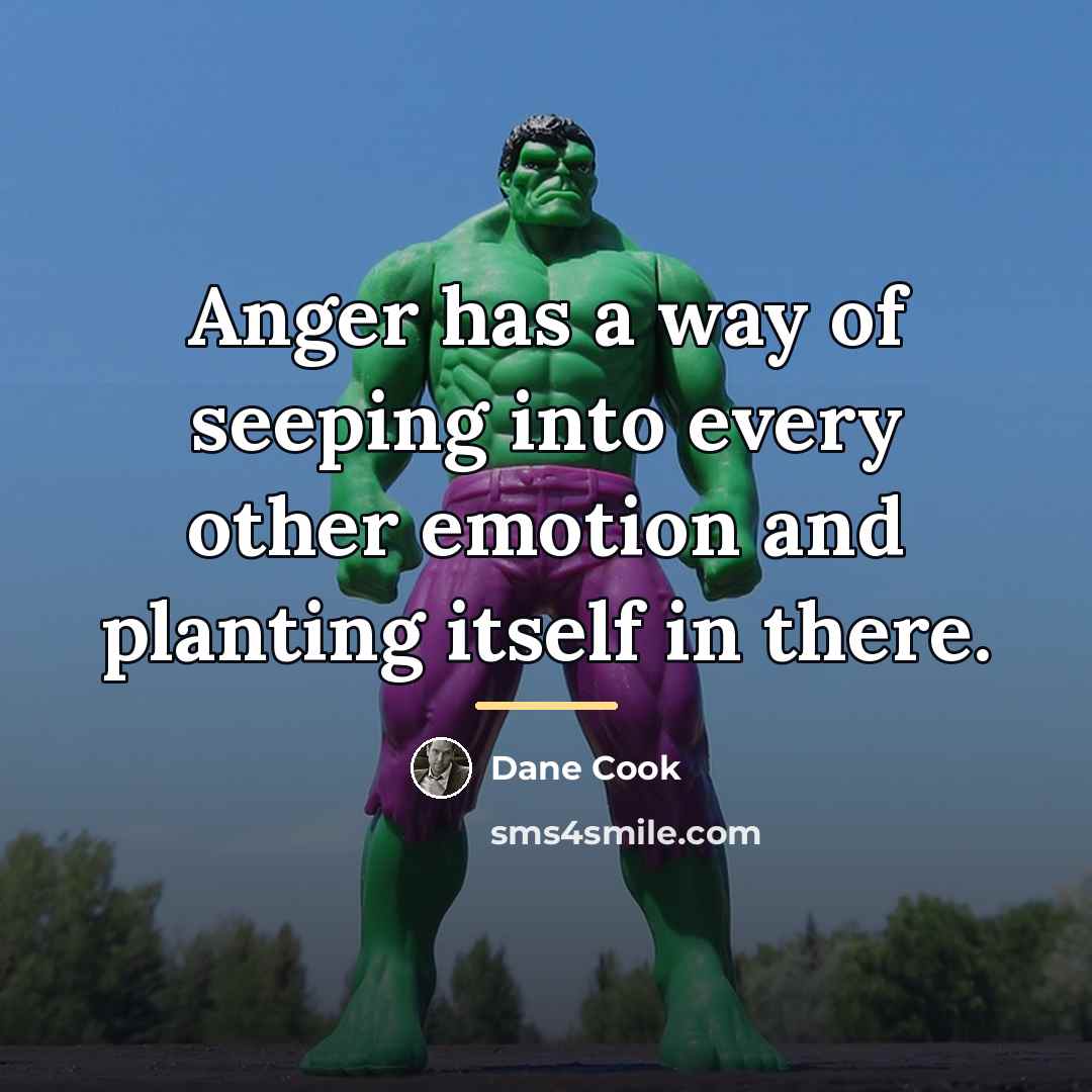 “Anger has a way of seeping into every other emotion…” quote by Dane Cook