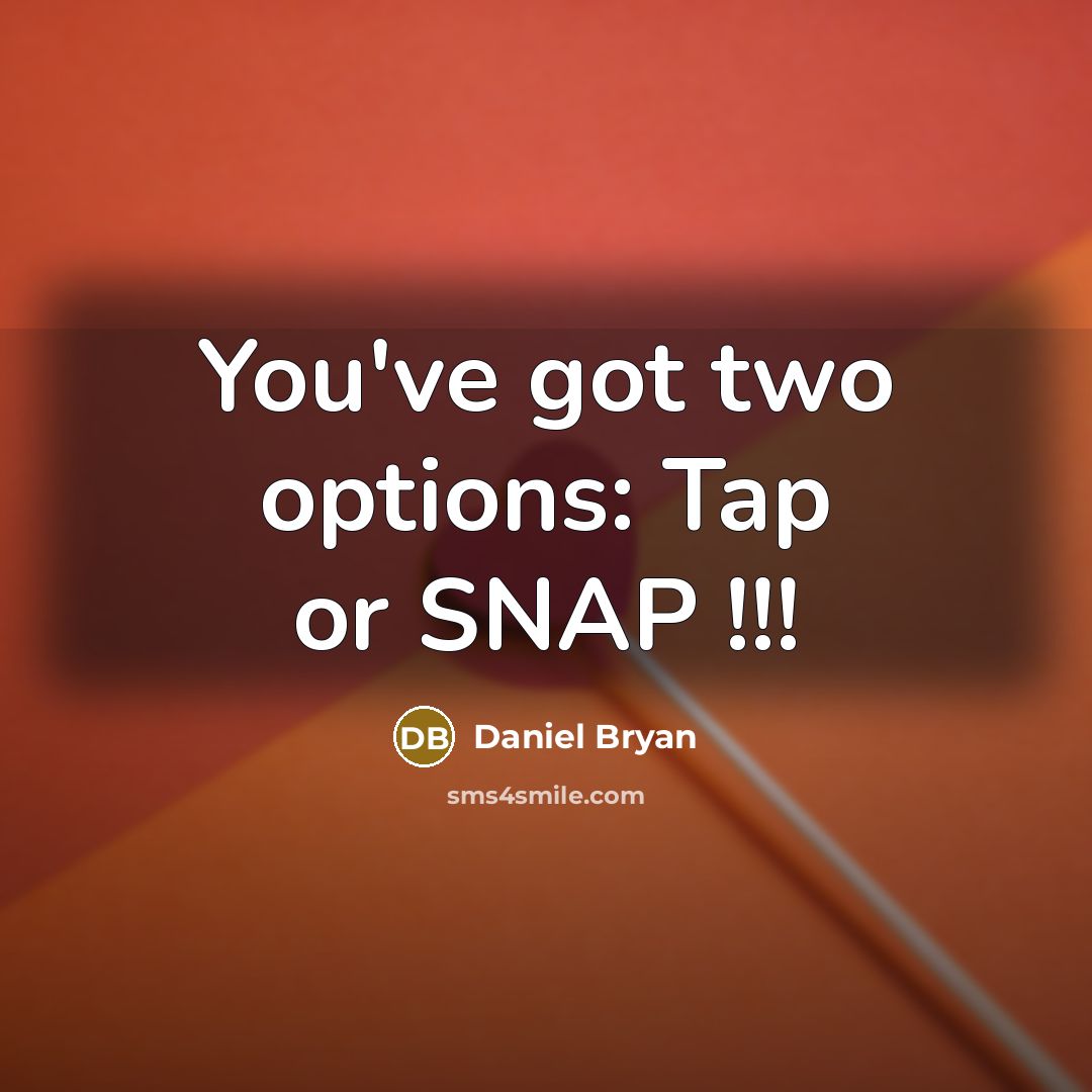“You've got two options: Tap or SNAP !!!…” quote by Daniel Bryan