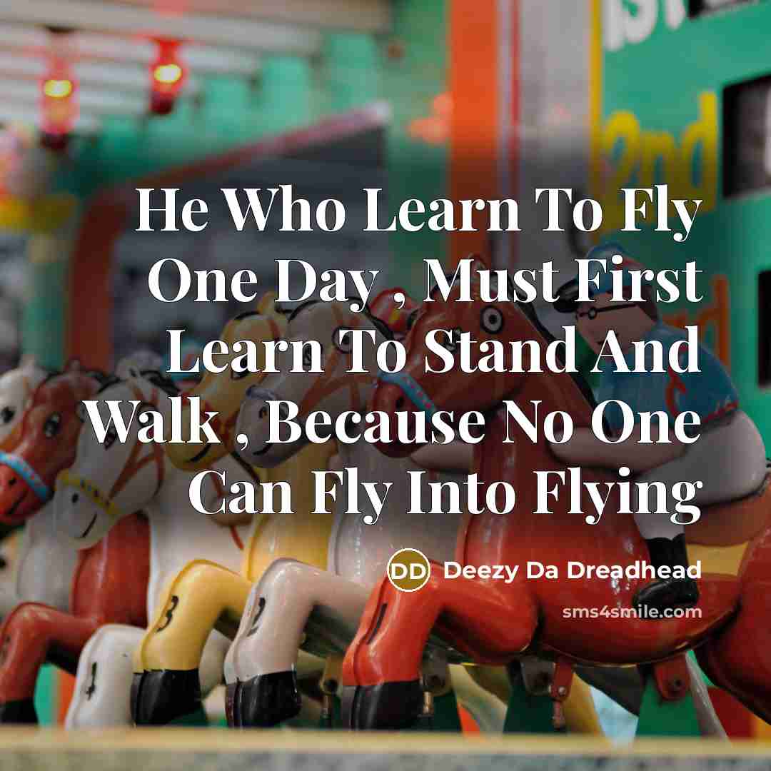 “He Who Learn To Fly One Day , Must First Learn To Stand And Walk , Because No One Can Fly Into Flying” quote by Deezy Da Dreadhead