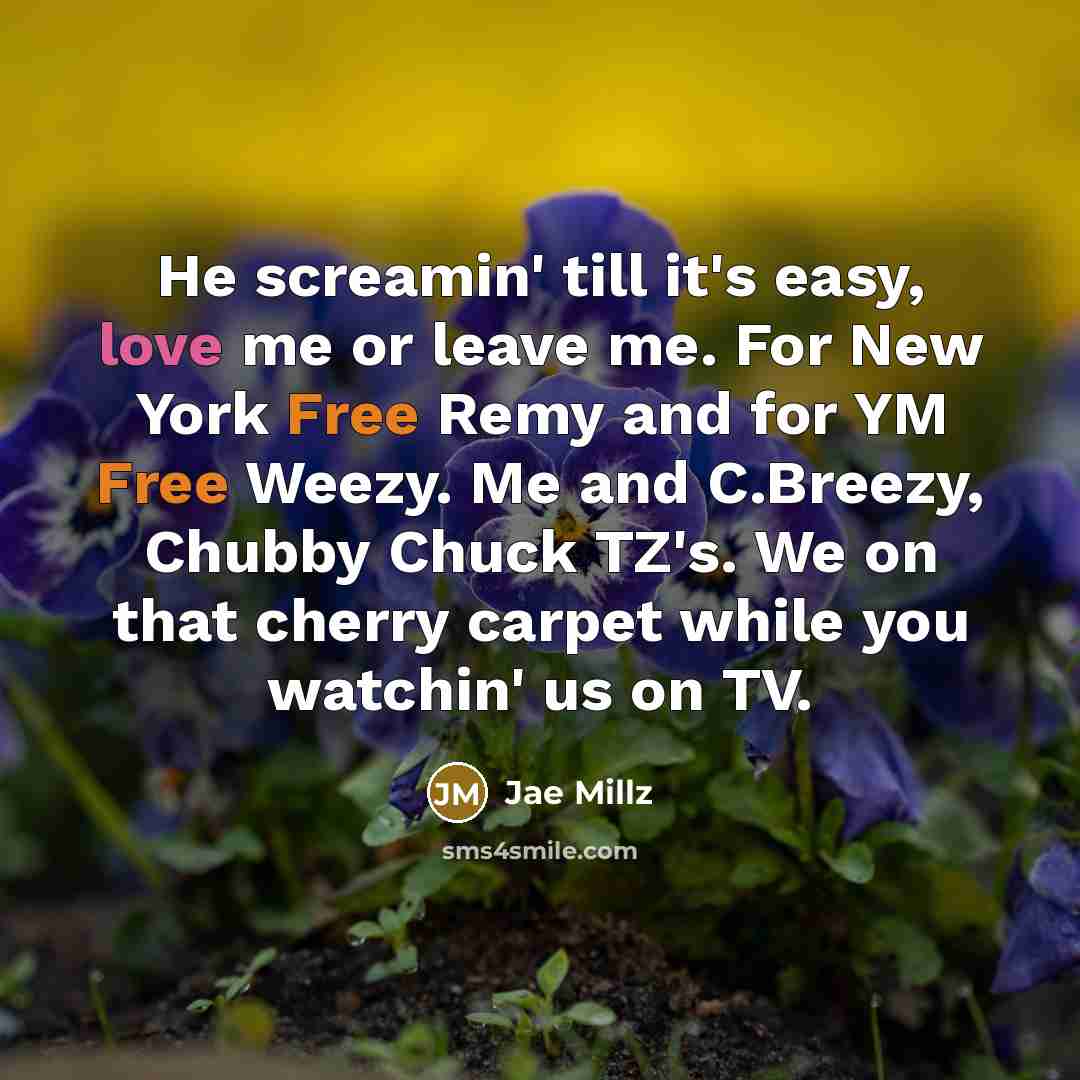 “He screamin' till it's easy, love me or leave me.…” quote by Jae Millz