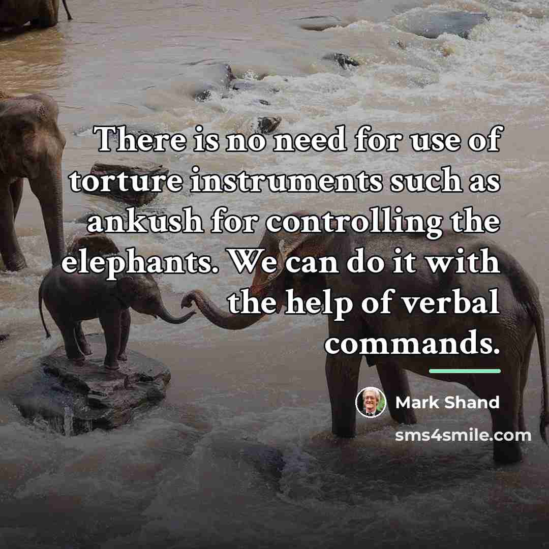 “There is no need for use of torture instruments such…” quote by Mark Shand