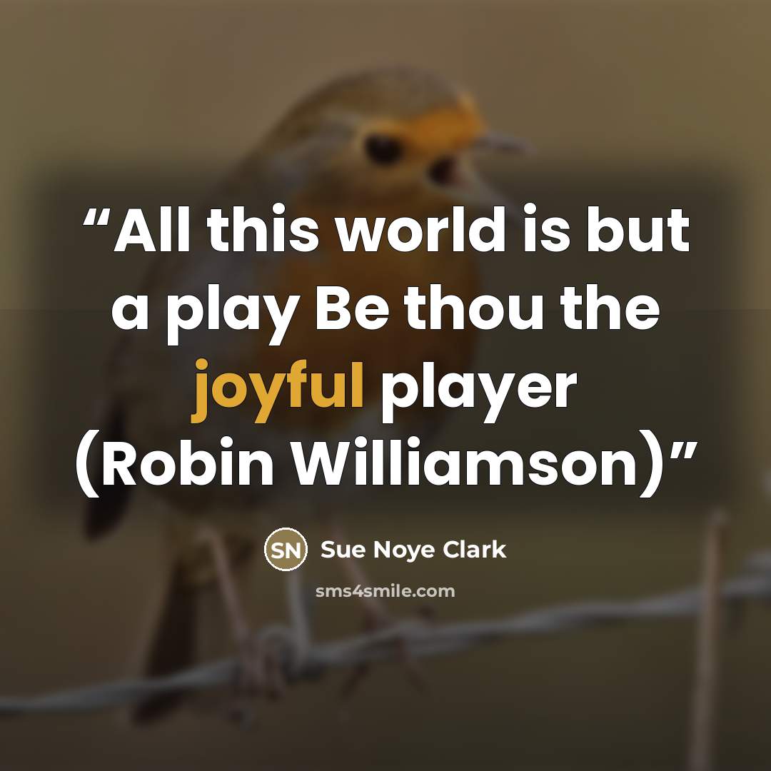 “All this world is but a play Be thou the joyful player (Robin Williamson)” quote by Sue Noye Clark