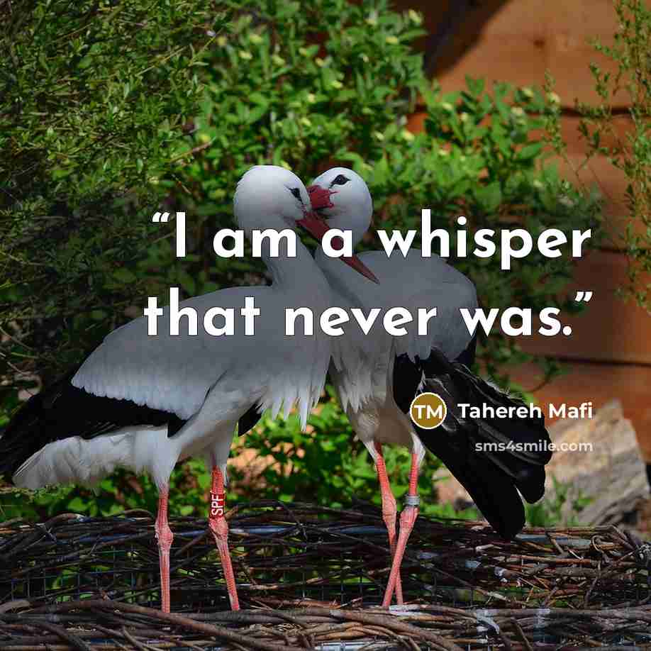“I am a whisper that never was.” quote by Tahereh Mafi