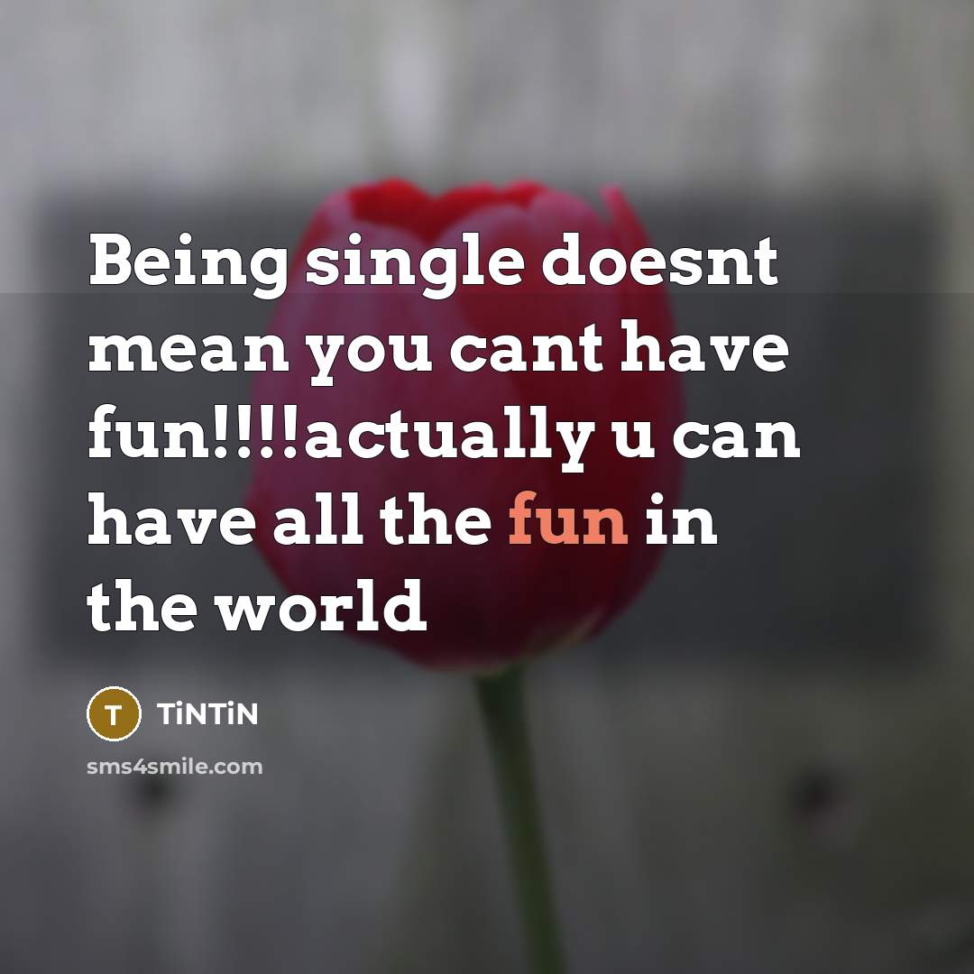 “Being single doesnt mean you cant have fun!!!!actually u can have all the fun in the world” quote by Tintin