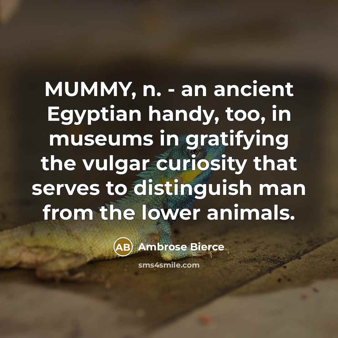 “MUMMY, n. - an ancient Egyptian handy, too, in museums…” quote by Ambrose Bierce