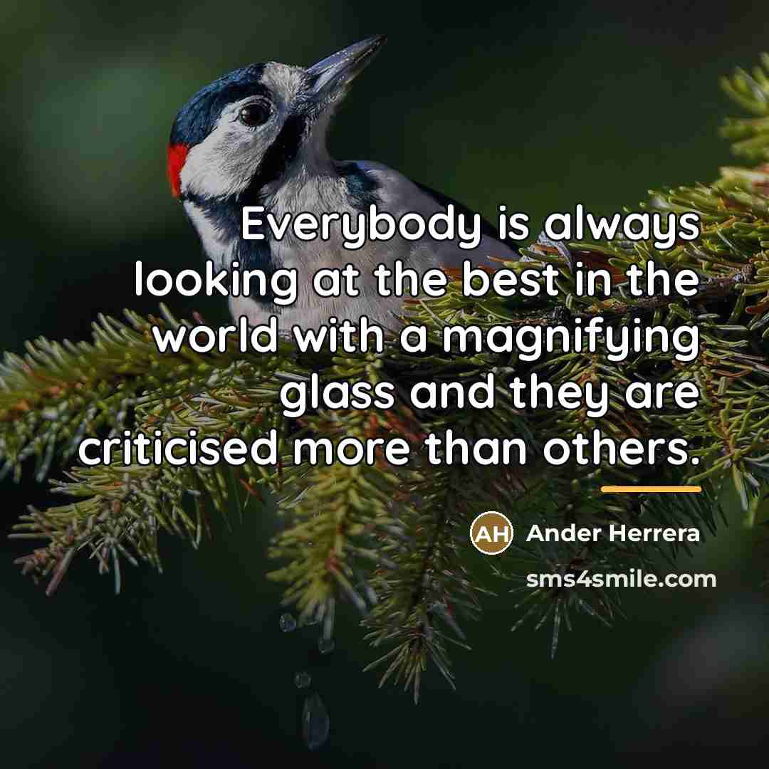 “Everybody is always looking at the best in the world…” quote by Ander Herrera