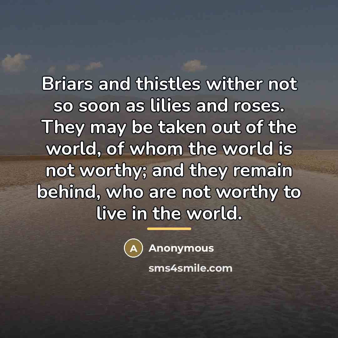 “Briars and thistles wither not so soon as lilies and…” quote by Anonymous