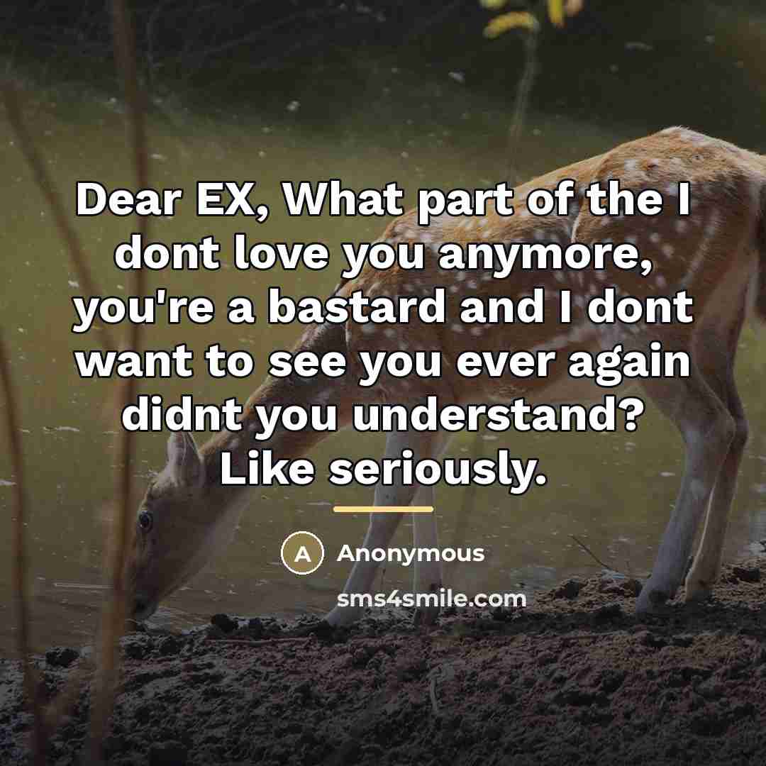 “Dear EX, What part of the I dont love you…” quote by Anonymous