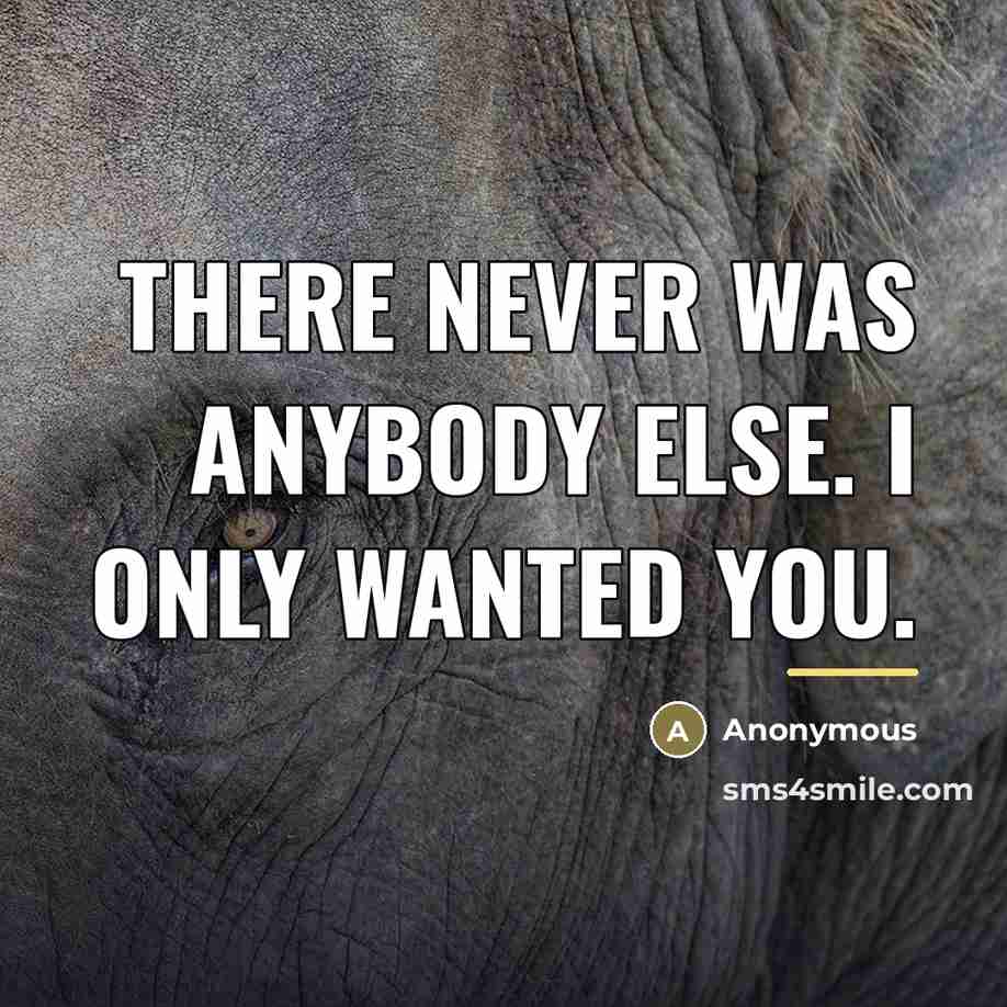“There never was anybody else. I only wanted you.…” quote by Anonymous