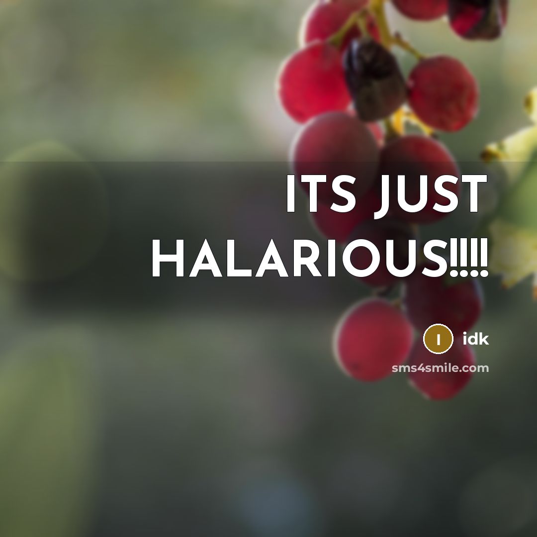 “ITS JUST HALARIOUS!!!!” quote by IDK