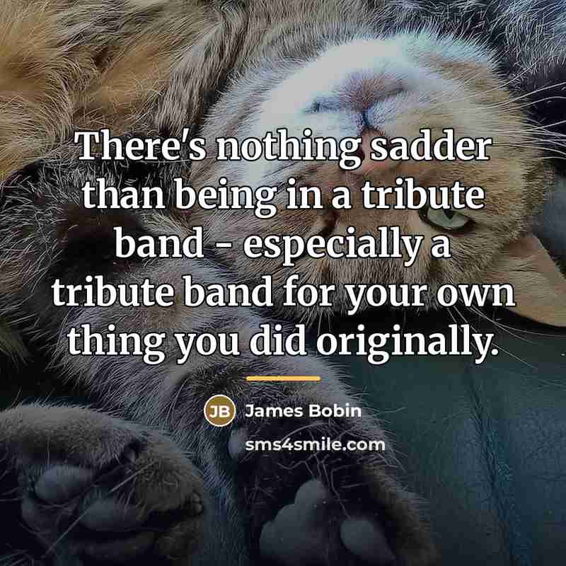 “There's nothing sadder than being in a tribute band -…” quote by James Bobin