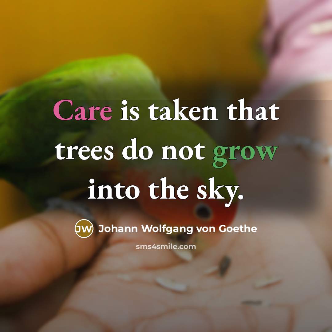 “Care is taken that trees do not grow into the…” quote by Johann Wolfgang von Goethe