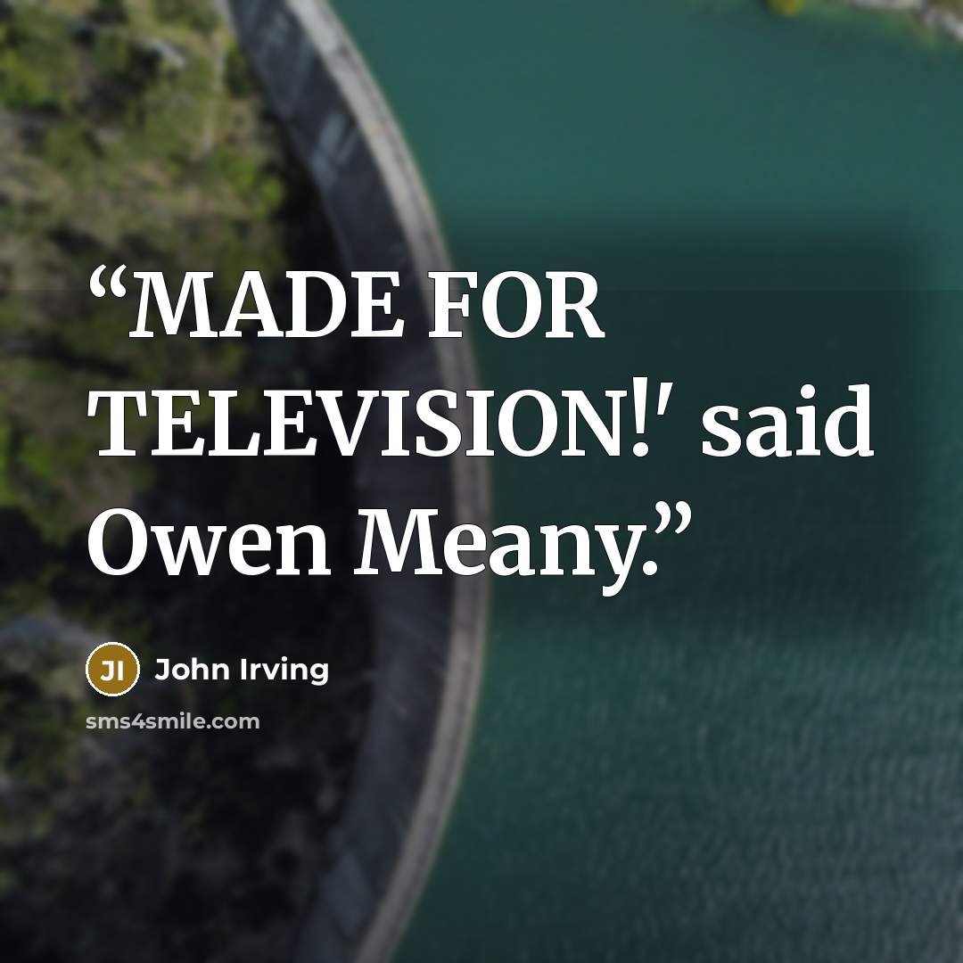 “MADE FOR TELEVISION!' said Owen Meany.” quote by John Irving