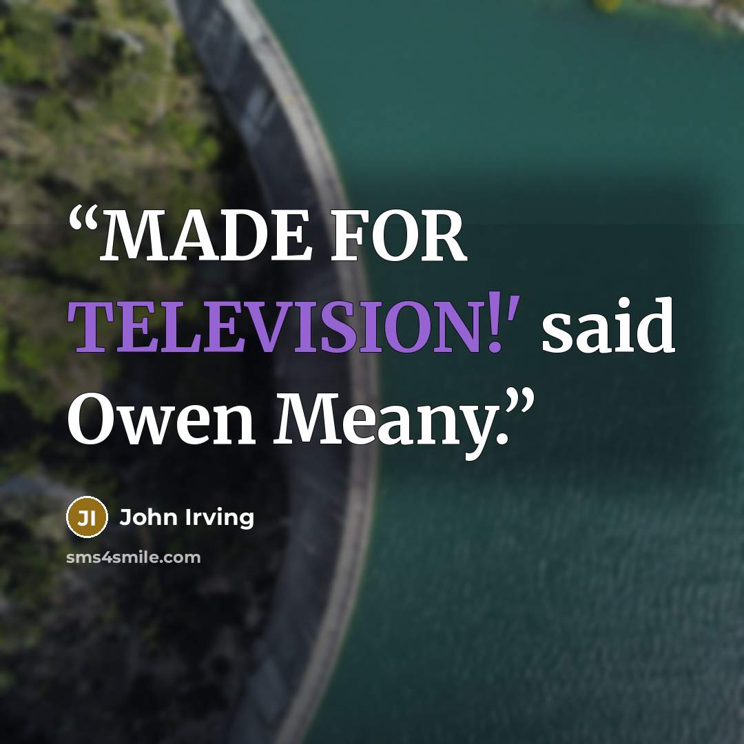 “MADE FOR TELEVISION!' said Owen Meany.” quote by John Irving
