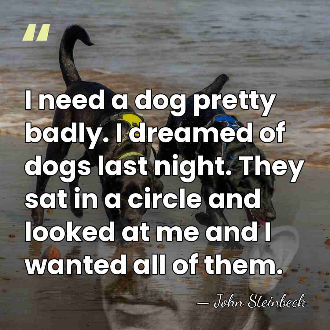 I need a dog pretty badly. I dreamed of dogs last night.&hellip; - John Steinbeck