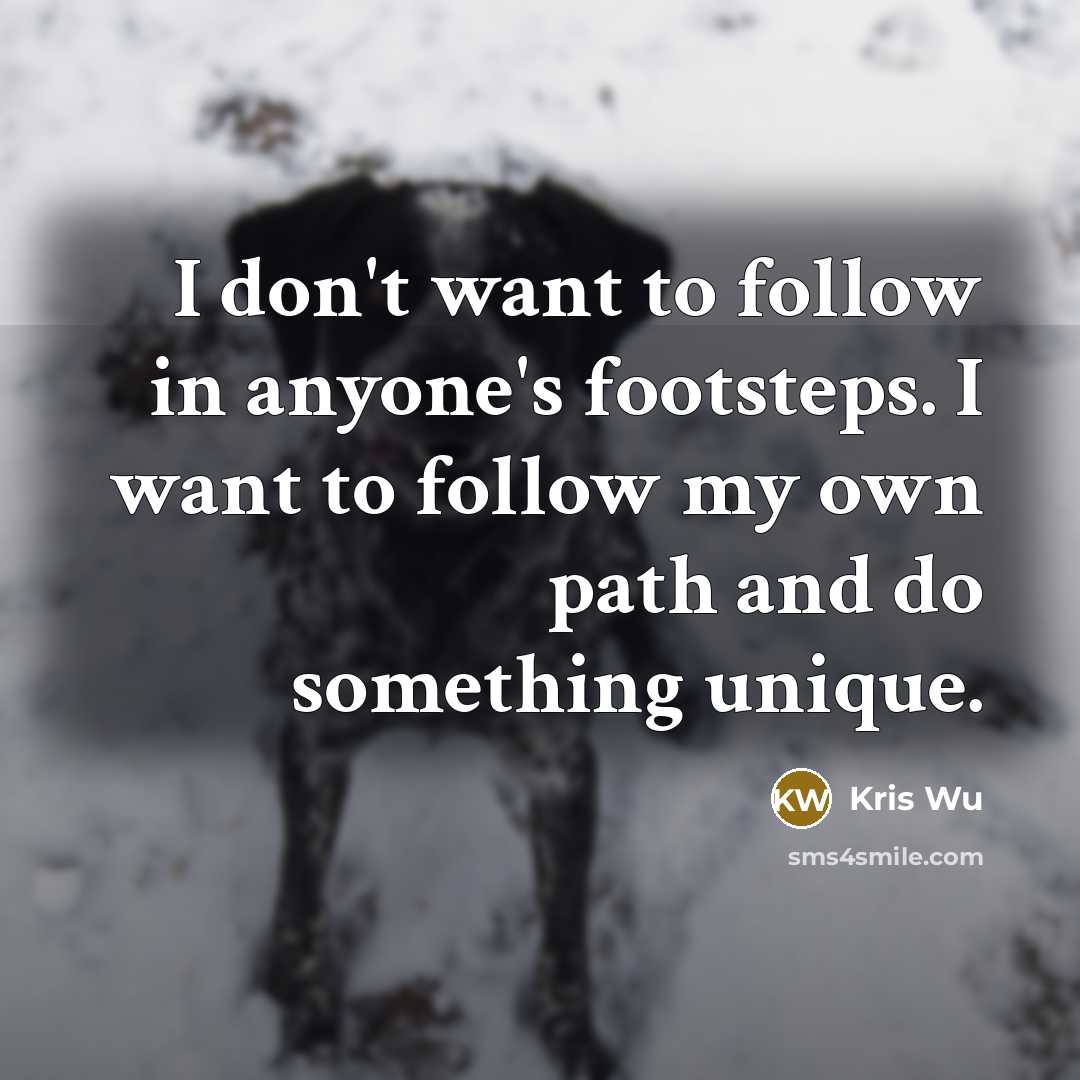 “I don't want to follow in anyone's footsteps. I want…” quote by Kris Wu