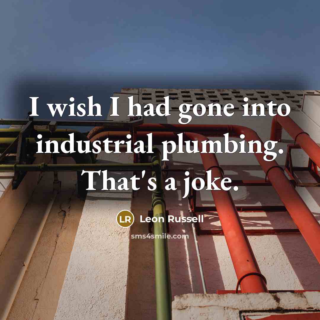 “I wish I had gone into industrial plumbing. That's a…” quote by Leon Russell